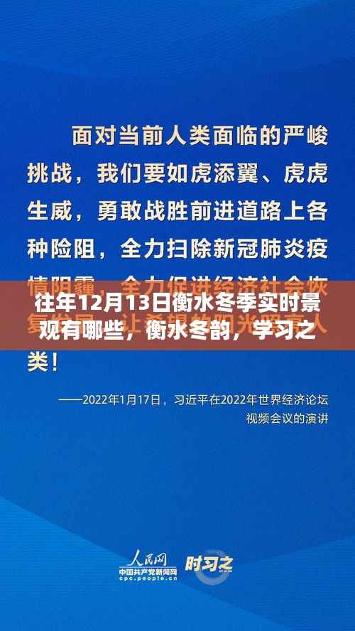 衡水冬韵，学习之光照亮景观，自信与成就的种子在寒冷中绽放的冬日画卷
