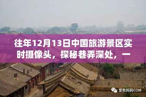 一花独放 第2页