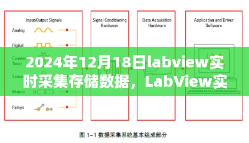虫言鸟迹 第2页
