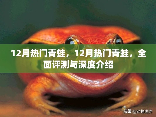 刚毅木讷 第2页