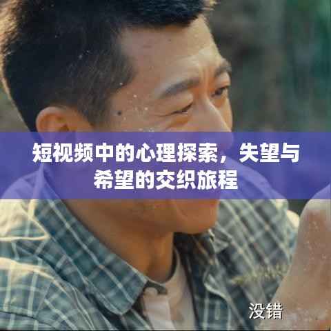 倦鸟思归 第2页