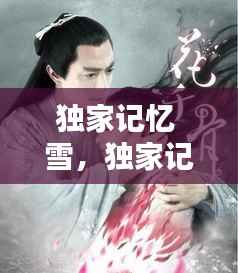 独家记忆 雪，独家记忆原版小说 