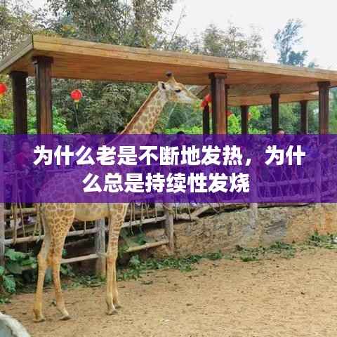 为什么老是不断地发热,为什么总是持续性发烧