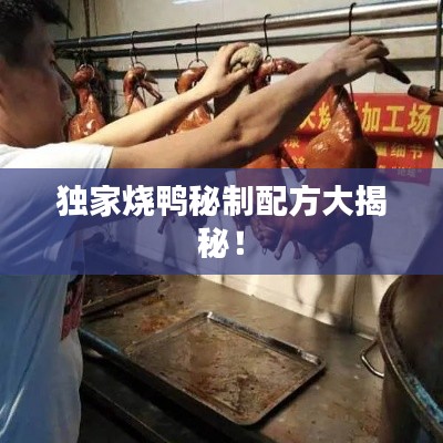 独家烧鸭秘制配方大揭秘！