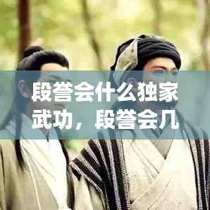 段誉会什么独家武功,段誉会几种武功