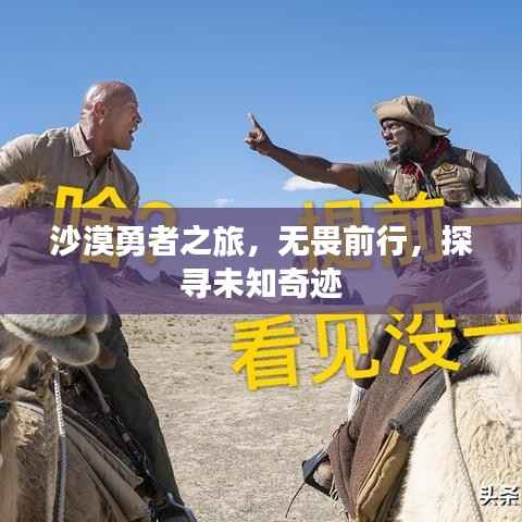 沙漠勇者之旅,无畏前行,探寻未知奇迹