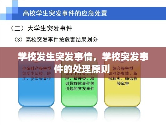 学校发生突发事情,学校突发事件的处理原则