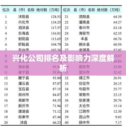 兴化公司排名及影响力深度解析