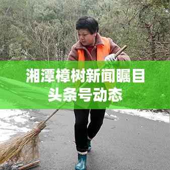 湘潭樟树新闻瞩目头条号动态