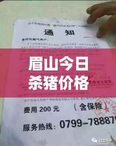 眉山今日杀猪价格更新通知