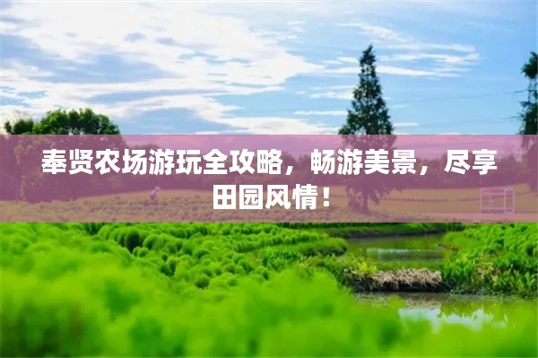奉贤农场游玩全攻略,畅游美景,尽享田园风情!