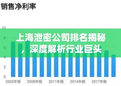 上海泄密公司排名揭秘,深度解析行业巨头