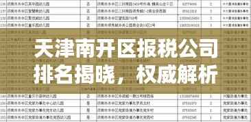 天津南开区报税公司排名揭晓，权威解析助你了解行业佼佼者