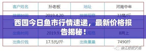 西园今日鱼市行情速递,最新价格报告揭秘!