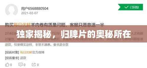 独家揭秘,归脾片的奥秘所在