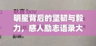 明星背后的坚韧与毅力，感人励志语录大揭秘！