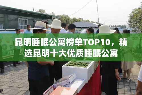 昆明睡眠公寓榜单TOP10，精选昆明十大优质睡眠公寓