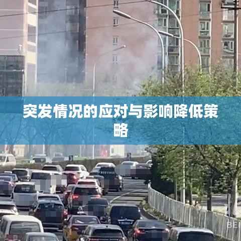 突发情况的应对与影响降低策略