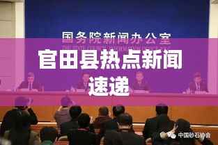 官田县热点新闻速递