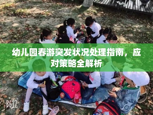 幼儿园春游突发状况处理指南，应对策略全解析